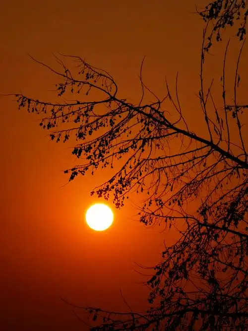 傍晚好景色,夕阳欲增辉!