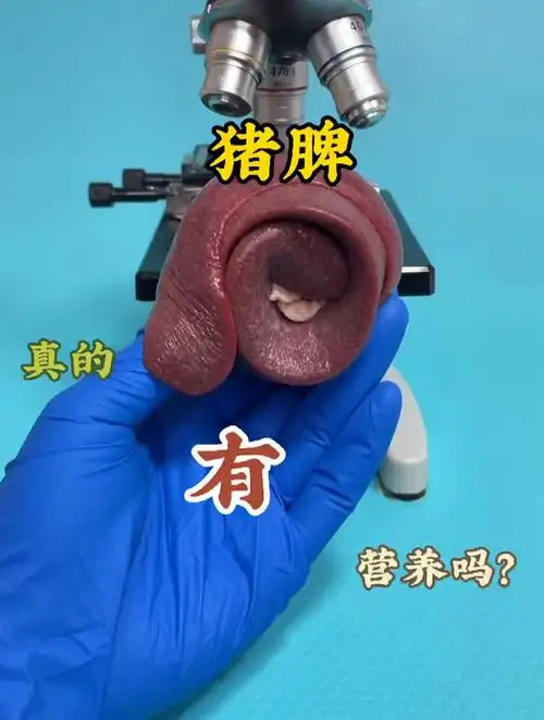 猪脾你喜欢吃吗放大后看干净无杂质可以放心吃