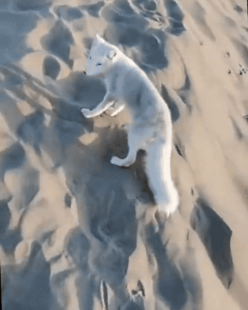 360_450竖版 竖屏gif 动态图 动图