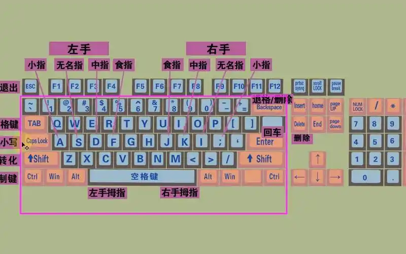 零基础学电脑从认识键盘开始,不会打字的,记不住键盘的看过来