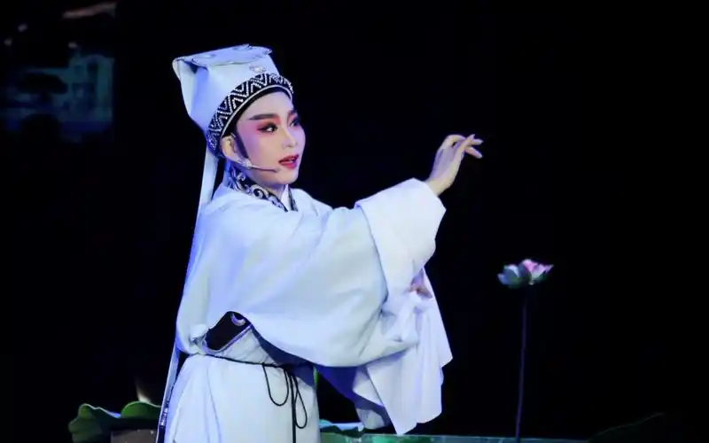 【熊莲芬】越剧 《追鱼》-说什么姻缘本是前生定(字幕版)_哔哩哔哩