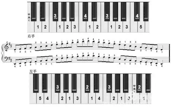 d大调音阶 : d e f# g a b c# d