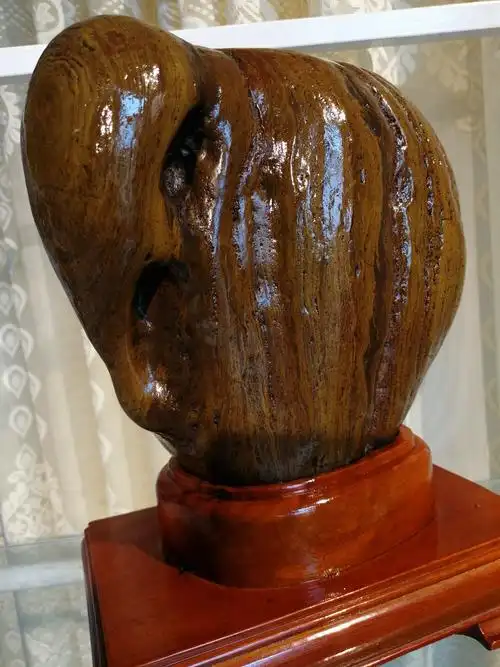 意趣无穷的广西奇石,带你一起欣赏我的藏石