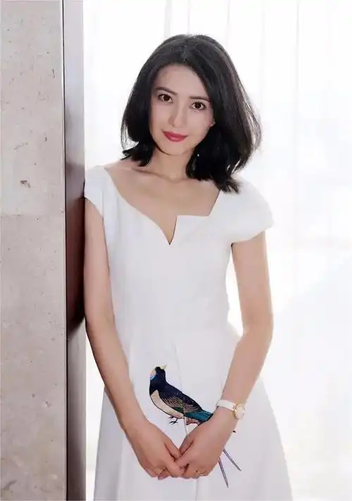 高圆圆和赵又廷什么时候离的婚?高圆圆承认婚变