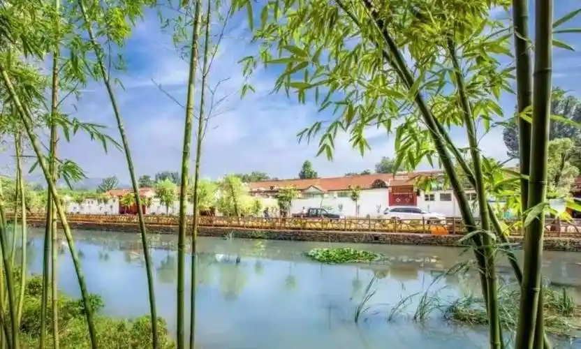 乡村建设与绿化美化同步推进,结合村落区位和村容村貌,自然条件,产业