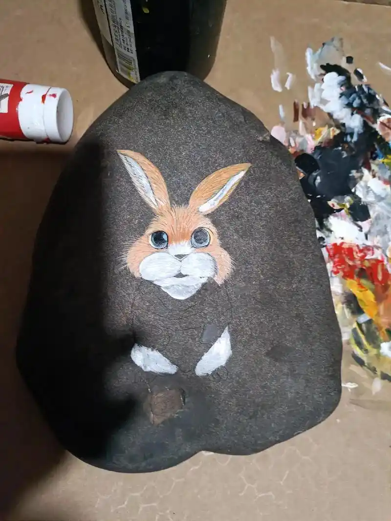 手绘石头画 #见证前行的每一步 #让喜欢的事成为生活 努力 - 抖音