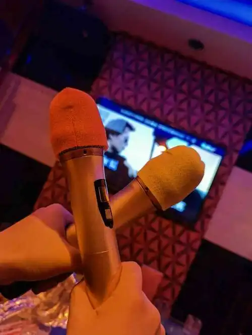 永利量贩主题式ktv(广安路店)