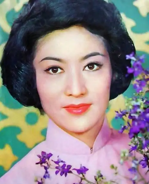 云想衣裳花想容浅谈香港至今无人能及的美女明星凤凰大牌朱虹