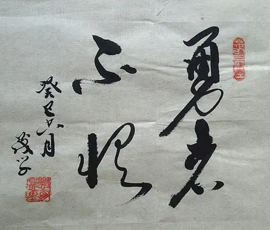 勇者不惧的介绍