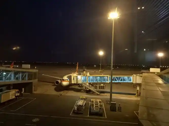 天津市东丽区机场大道靠近知遇咖啡(天津滨海国际机场)