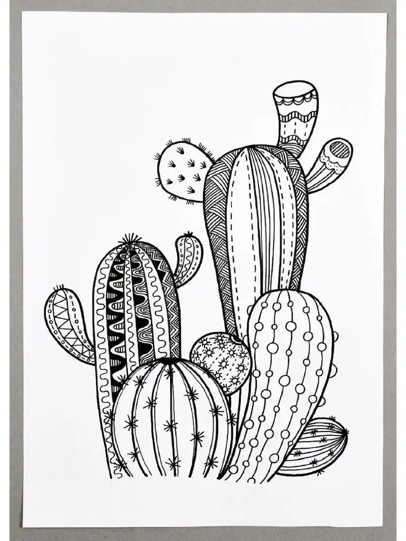 儿童画教程|一盆仙人掌 【教学重难点】  ①欣赏仙人掌的图片素材