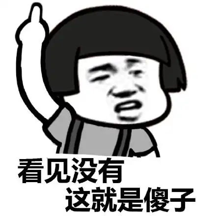 看见没有 这就是傻子