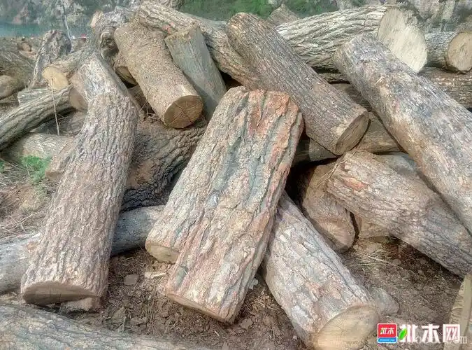 山西出售硬杂木550元一吨.