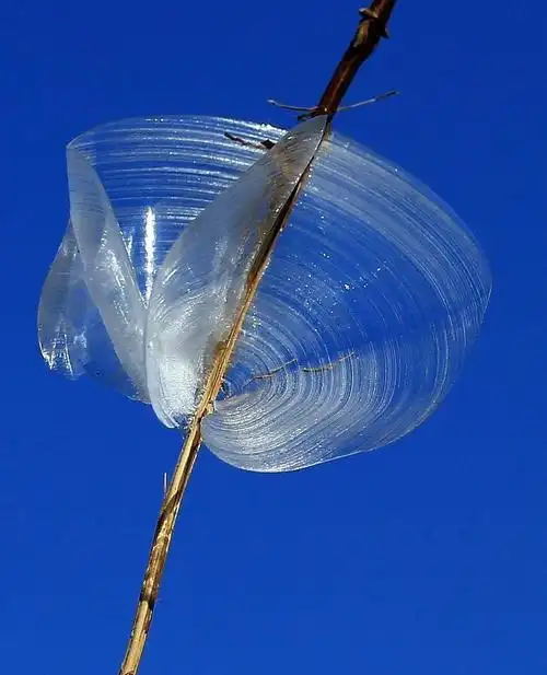 山西侯马再现冰蝴蝶奇观像大自然的艺术品