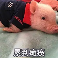 累到瘫痪表情包大全斗图表情