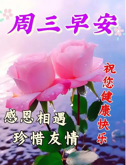 5月24日周三早上好不要辜负了美好的晨光