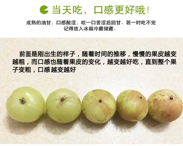 潮汕油甘果牛甘果余甘子果油柑子果新鲜水果青橄榄果滇橄榄500g