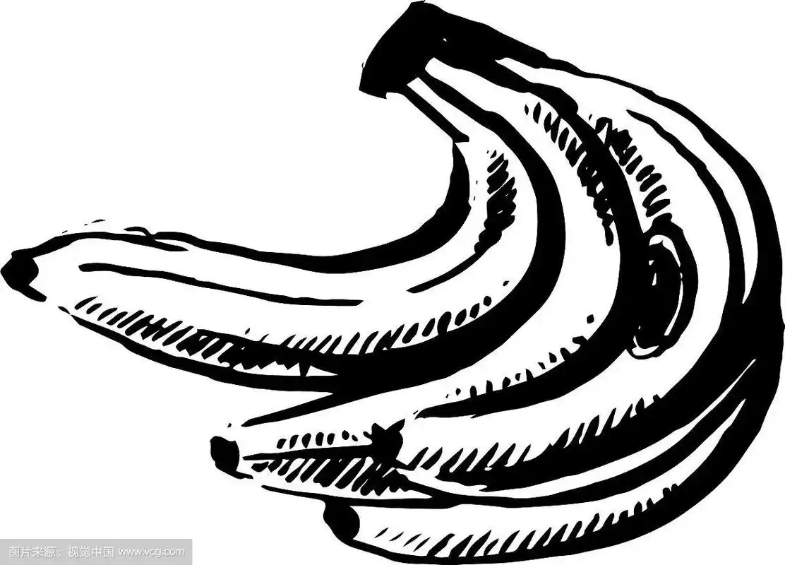 手绘黑色香蕉素描