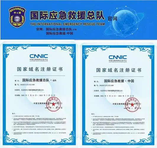 中国国际应急救援总队