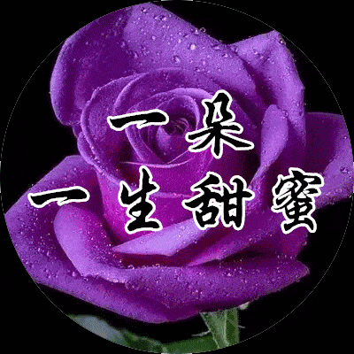 送你玫瑰花,祝你乐哈哈!