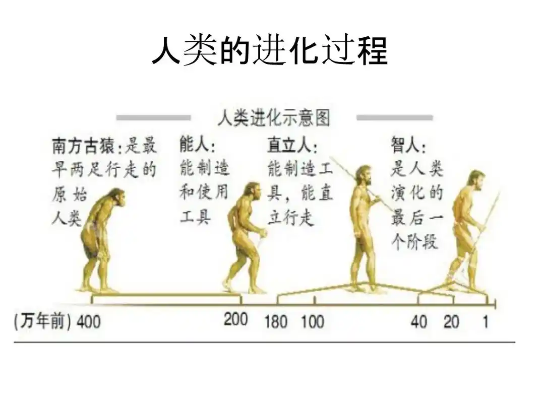 身边的na些事物在变化.ppt