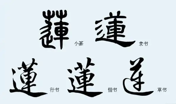一字之曰"莲"