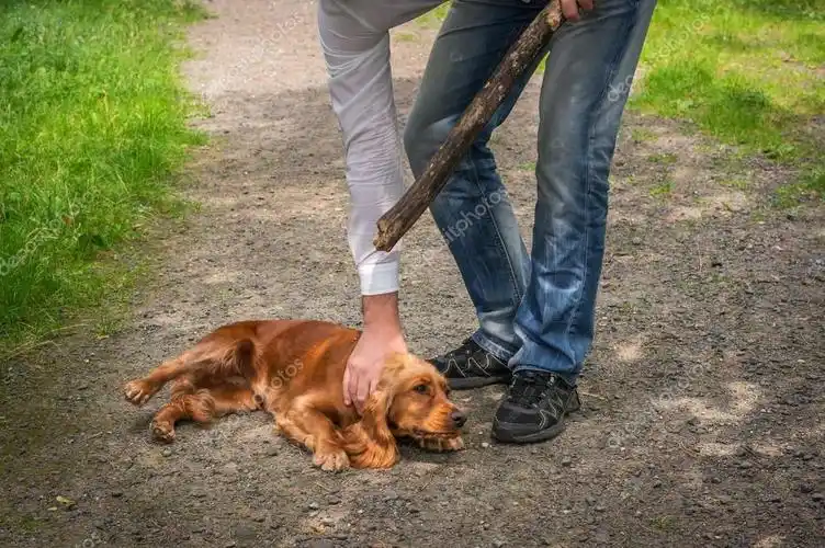 我的鹏起退市了哭哭哭股海亮华很生气后果很严重怒怒怒众泰