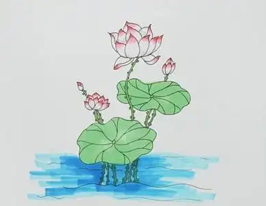 荷叶画法简笔画 荷叶画法简笔画彩色画