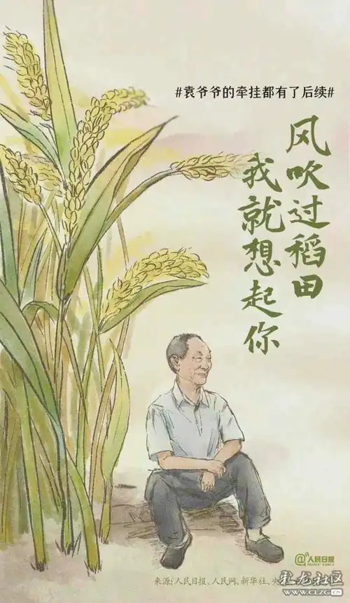 袁隆平荣恩泽稻满米粮天下香