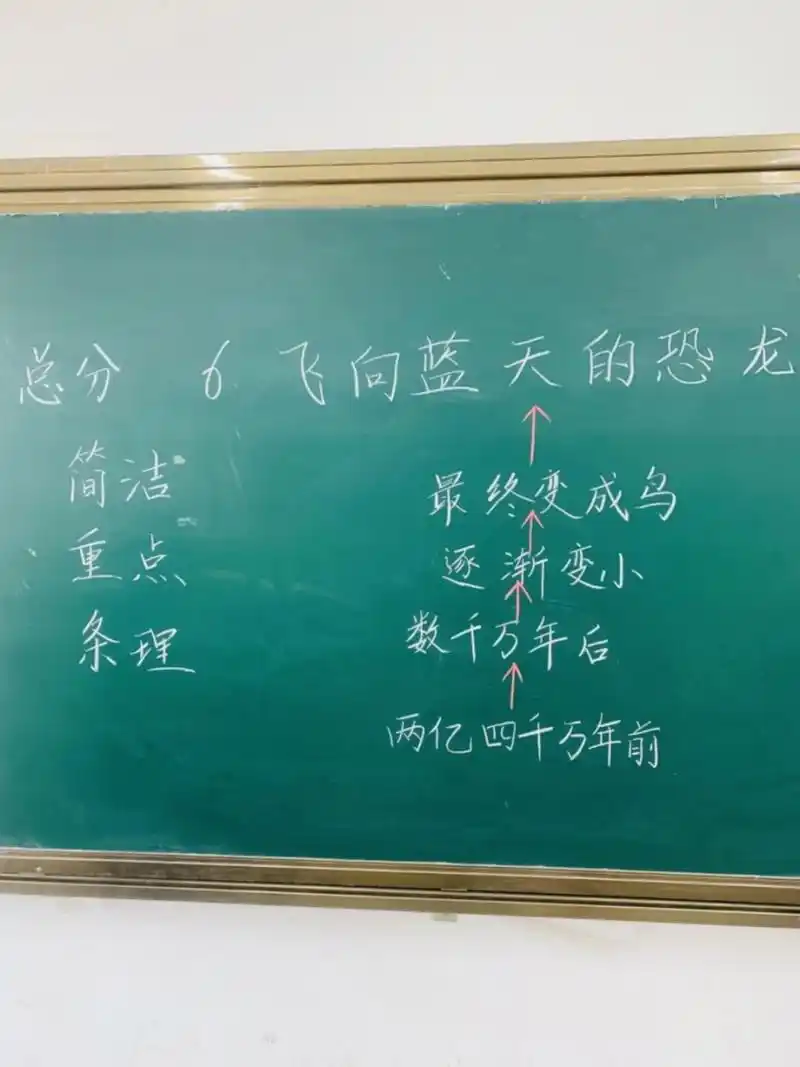 板书丨飞向蓝天的恐龙 飞向蓝天的恐龙板书 刚上完这节课 分享下板书
