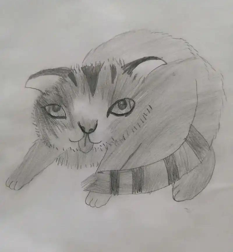 一只专注的猫,儿童铅笔画!