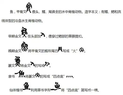 弈哥学汉字:鱼的文字演化,成语故事以及科学小知识