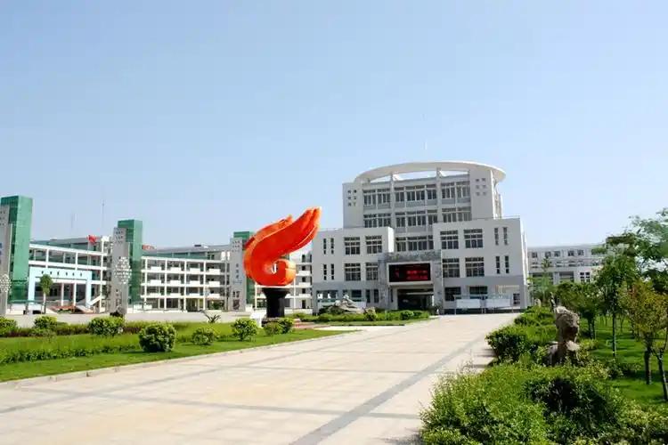 新洲一中阳逻校区图书馆 图片来源:新洲一中