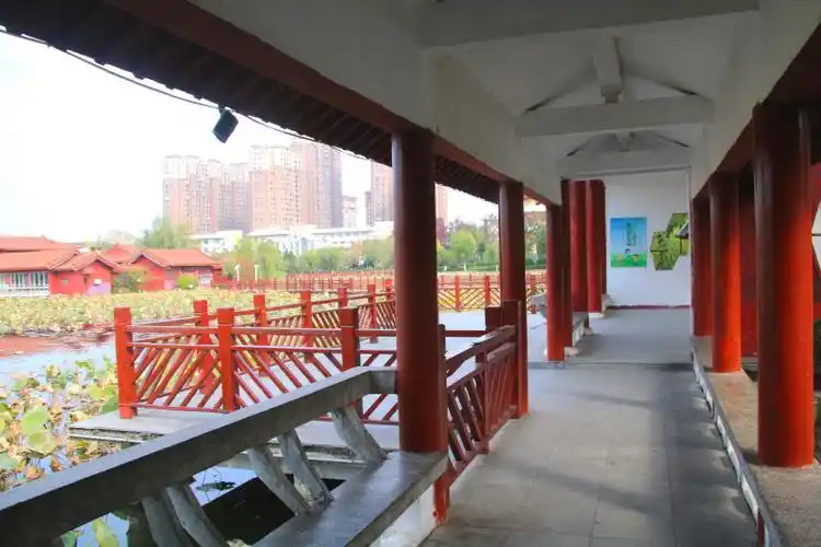 凤鸣公园寻觅秋的芳踪 - 丰县论坛