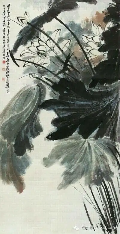 徐悲鸿曾说:"张大千的荷花,为400_777竖版 竖屏