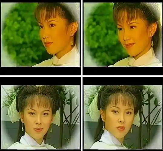 【义薄云天】十大高手,赵燕翎李文扬上榜,万氏兄弟独一档_中原_云三娘