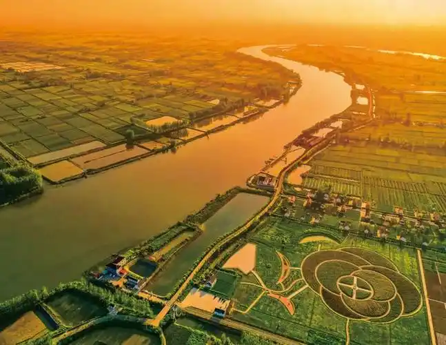 学思践悟二十大千秋镇勇当射阳河畔生态经济高质量发展主力军