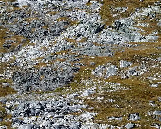 场景制作素材山地材质3d贴图