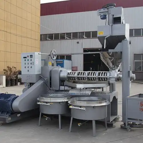 220型花生全自动榨油机 商用 大型螺旋榨油机 全套油坊榨油设备