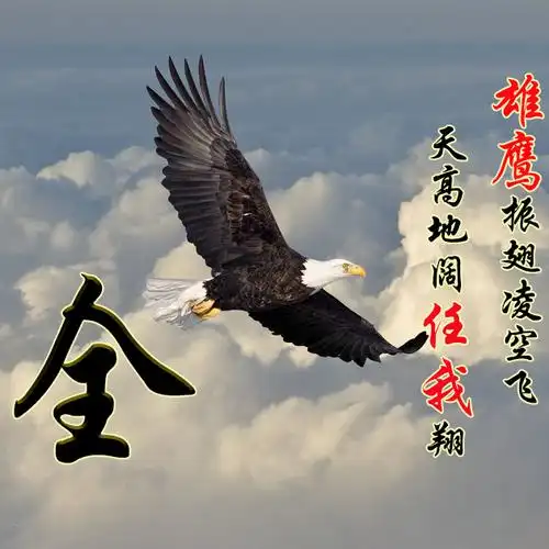 【编号217】老鹰,大展宏图-微信头像,百家姓氏微信头像,名字壁纸