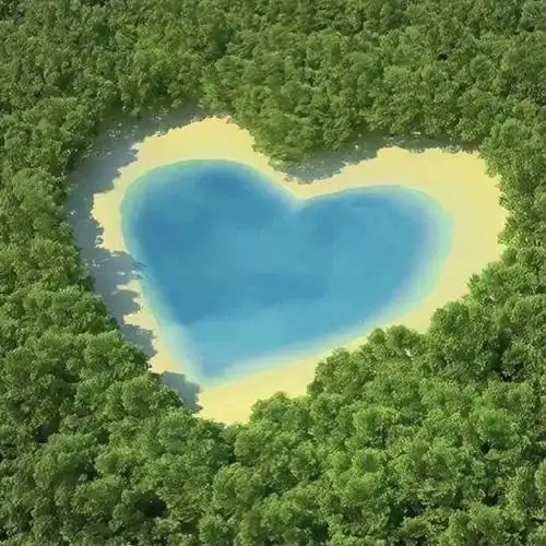 朋友圈背景图##朋友圈文案##朋友圈分享##文案##赏花##好天气