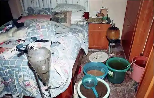 原型案件比电视剧凶残百倍!_剧中_保护_博社村