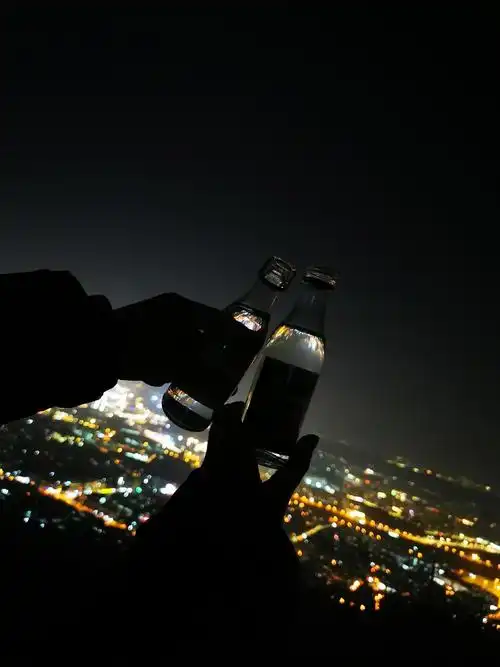 你带酒,我斩个鸭子,约个周末晚上爬紫金山