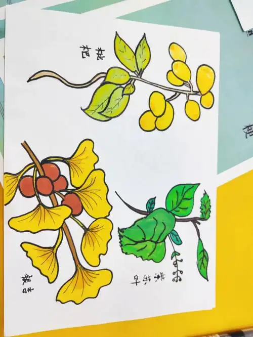 幼儿园环创  #本草纲目 #中草药 #素材 #简笔画 #幼儿园中草药主题