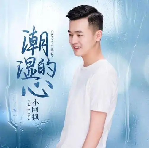 小阿枫个人资料简介:小阿枫翻唱的所有歌曲大全