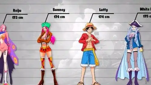 海贼王身高数据:索隆身高181cm,路飞和几个美女相同