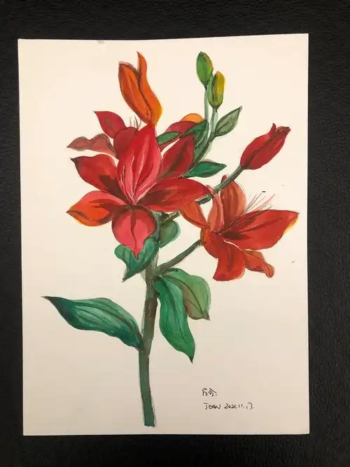 小白报到植物画