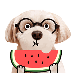 魔性狗子表情包全属精品