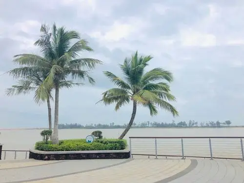 欢乐海南游--海口,琼海,三亚2020-11--16～20 - 美篇