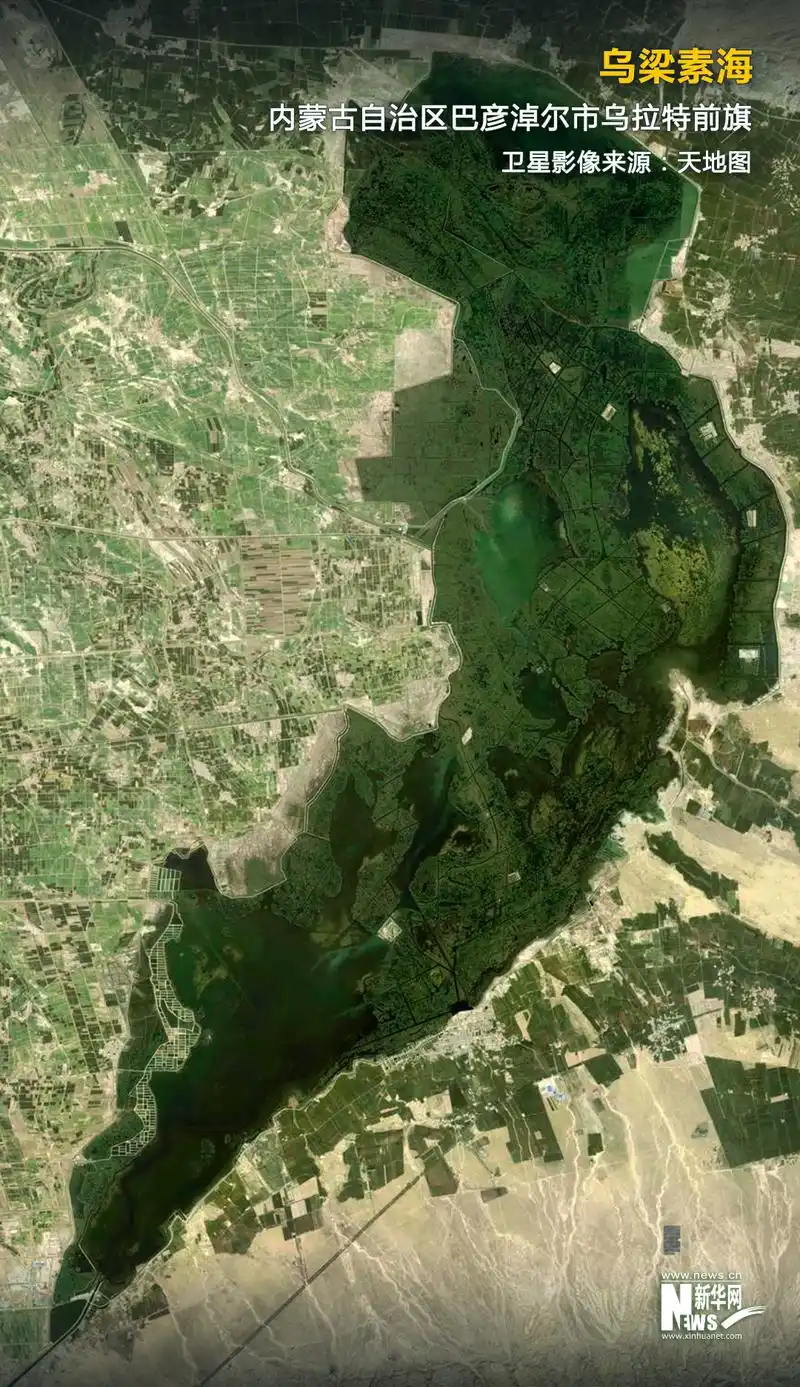 "三北"工程,一条正在崛起的绿色长城